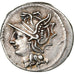Appuleia, Denier, 104 BC, Rome, Argent, SUP, Crawford:317/3