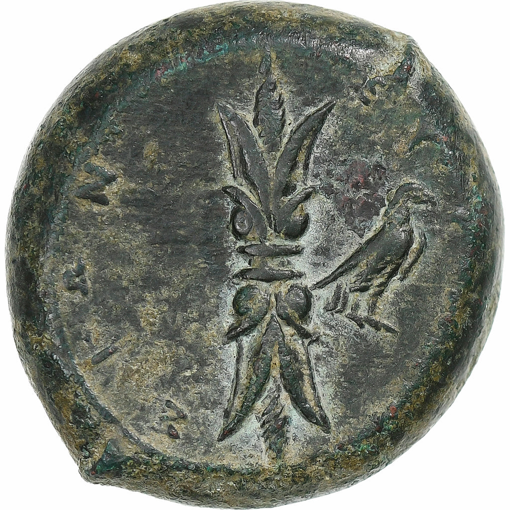 Sicily, Dion, Hemilitron, ca. 357-354 BC, Syracuse, Bronce, MBC+