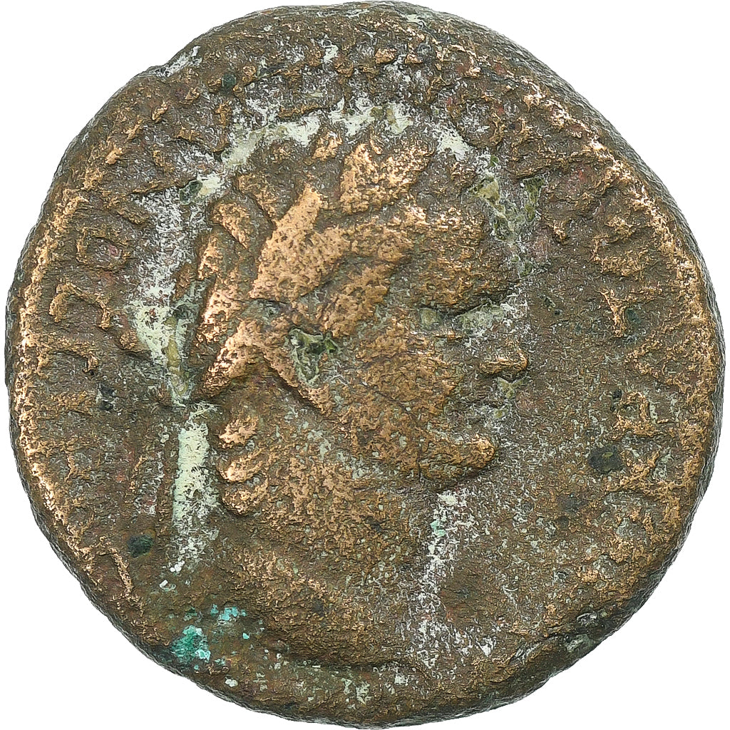 Séleucie et Piérie, Domitien, Æ Unit, 93-94, Laodicée, Bronze, TB+