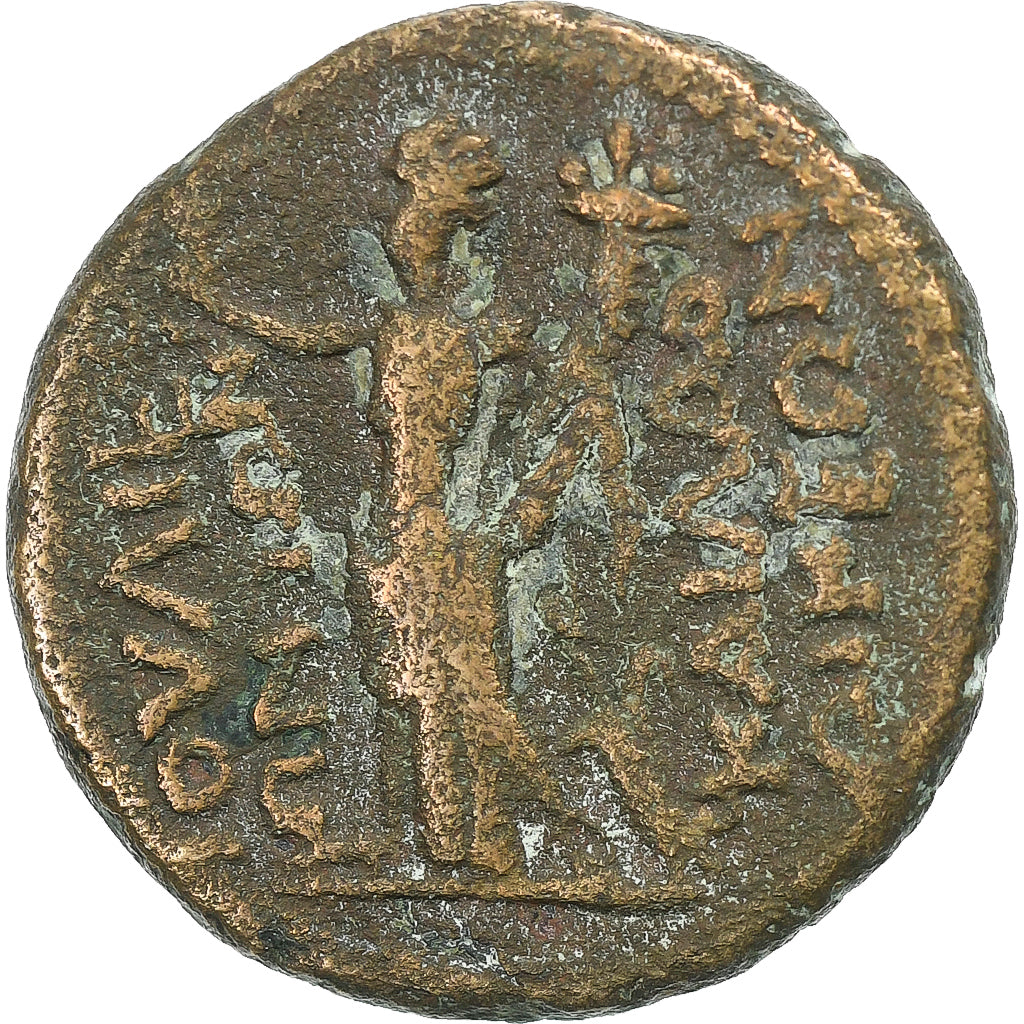Séleucie et Piérie, Domitien, Æ Unit, 93-94, Laodicée, Bronze, TB+