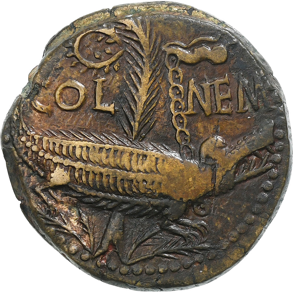 Augustus & Agrippa, Dupondius, 10-14, Nemausus, Bronze, AU(50-53)