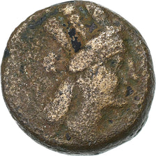Seleucis and Pieria, Æ Unit, 3rd century BC, Antioch, Bronce, BC