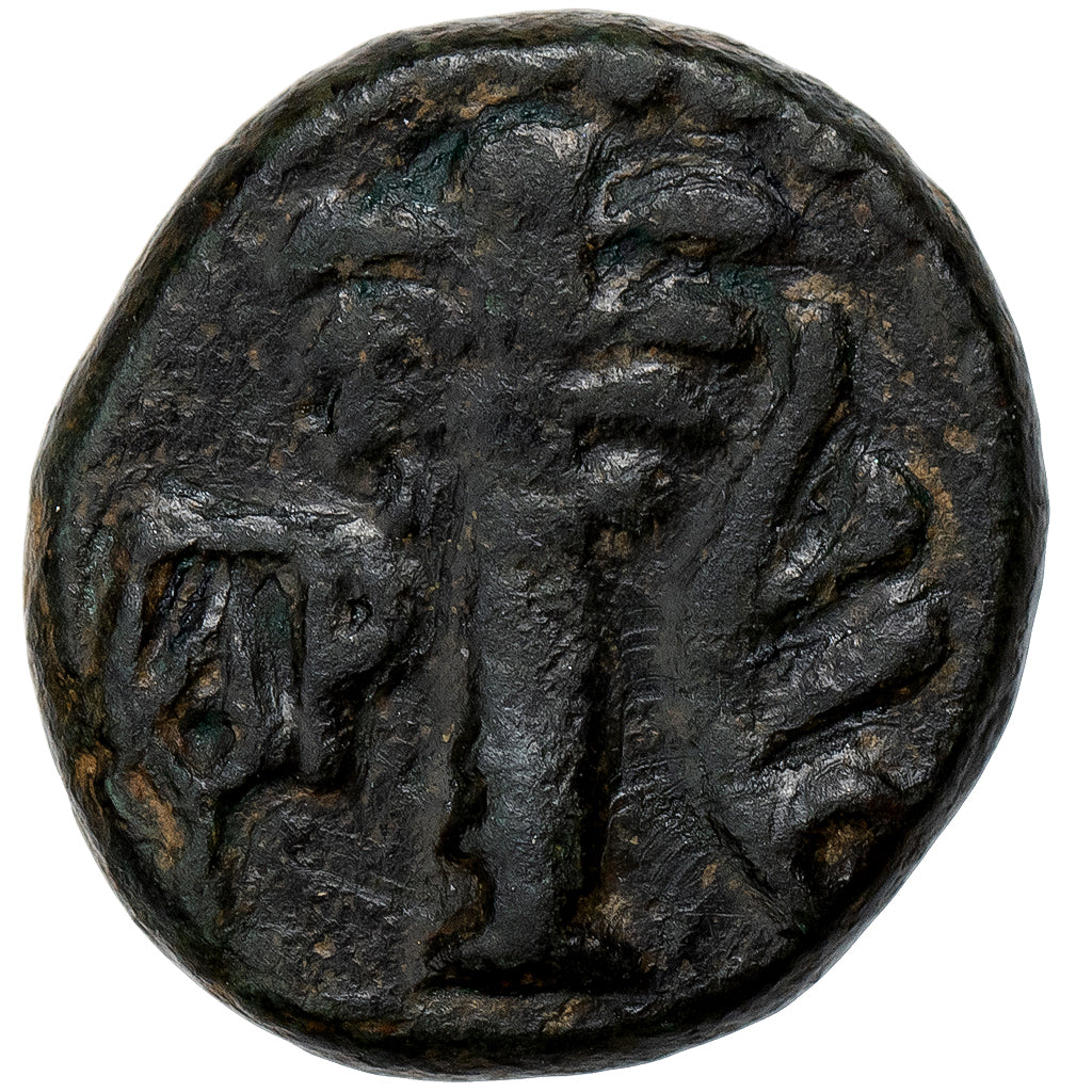Crete, Æ Unit, ca. 200-67 BC, Hierapytna, Bronzo, BB