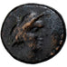Crete, Æ Unit, ca. 85-82 BC, Gortyna, Bronzo, BB