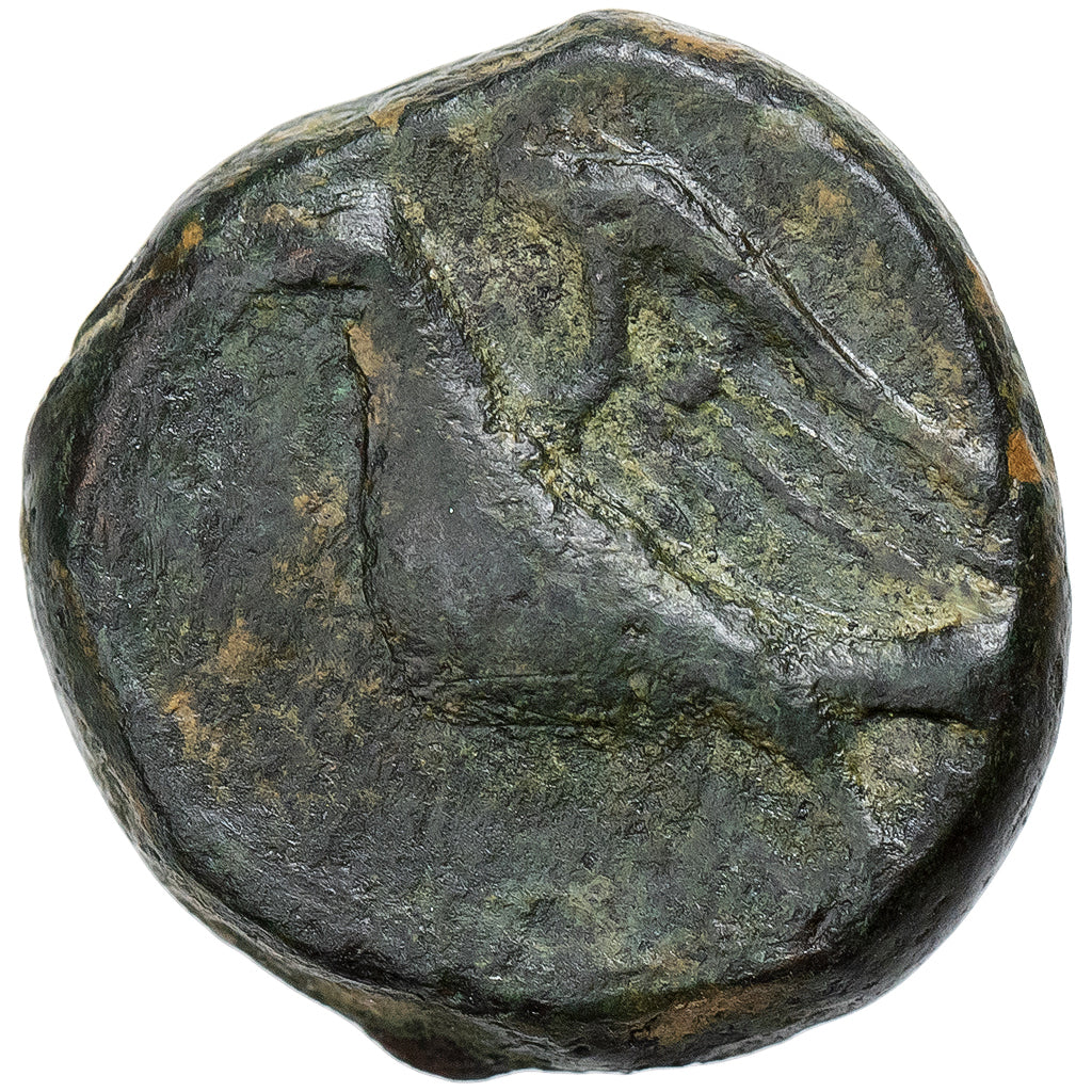 Crete, Æ Unit, ca. 300-67 BC, Chersonesos, Bronzo, BB+