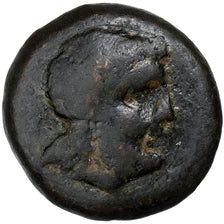 Crete, Æ Unit, ca. 250-164 BC, Rhaukos, Bronze, SGE+