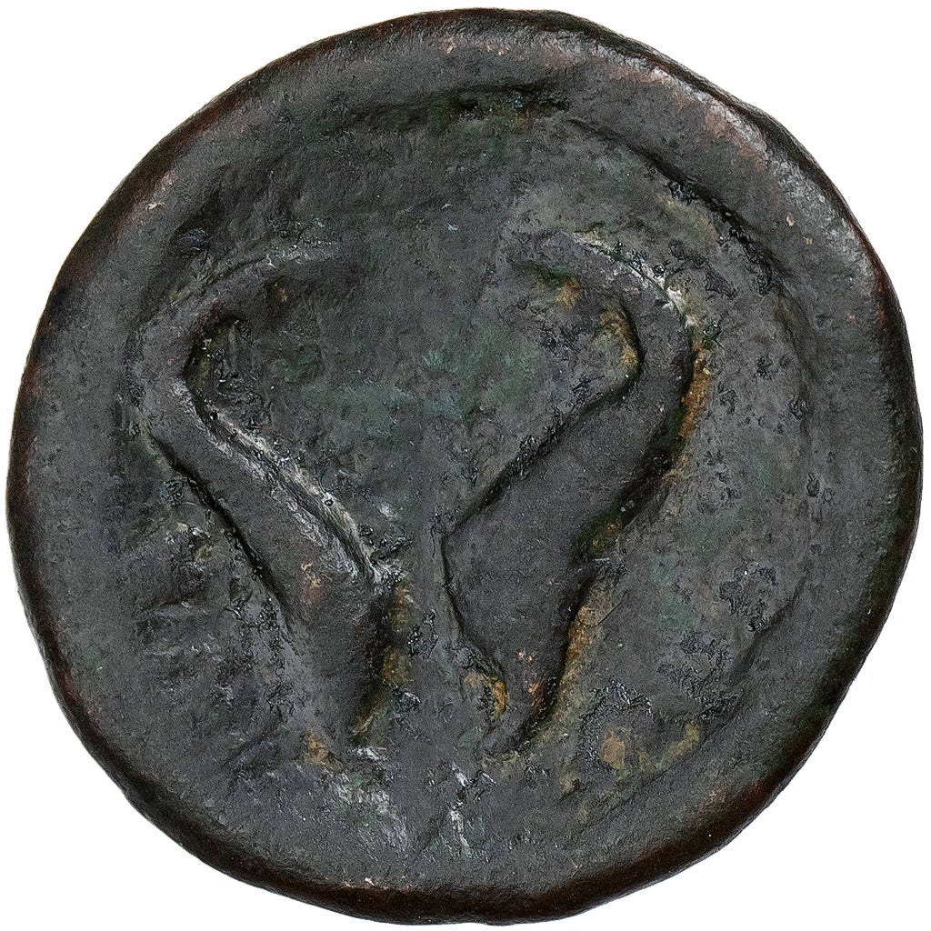 Crete, Æ Unit, ca. 250-164 BC, Rhaukos, Bronze, SGE+