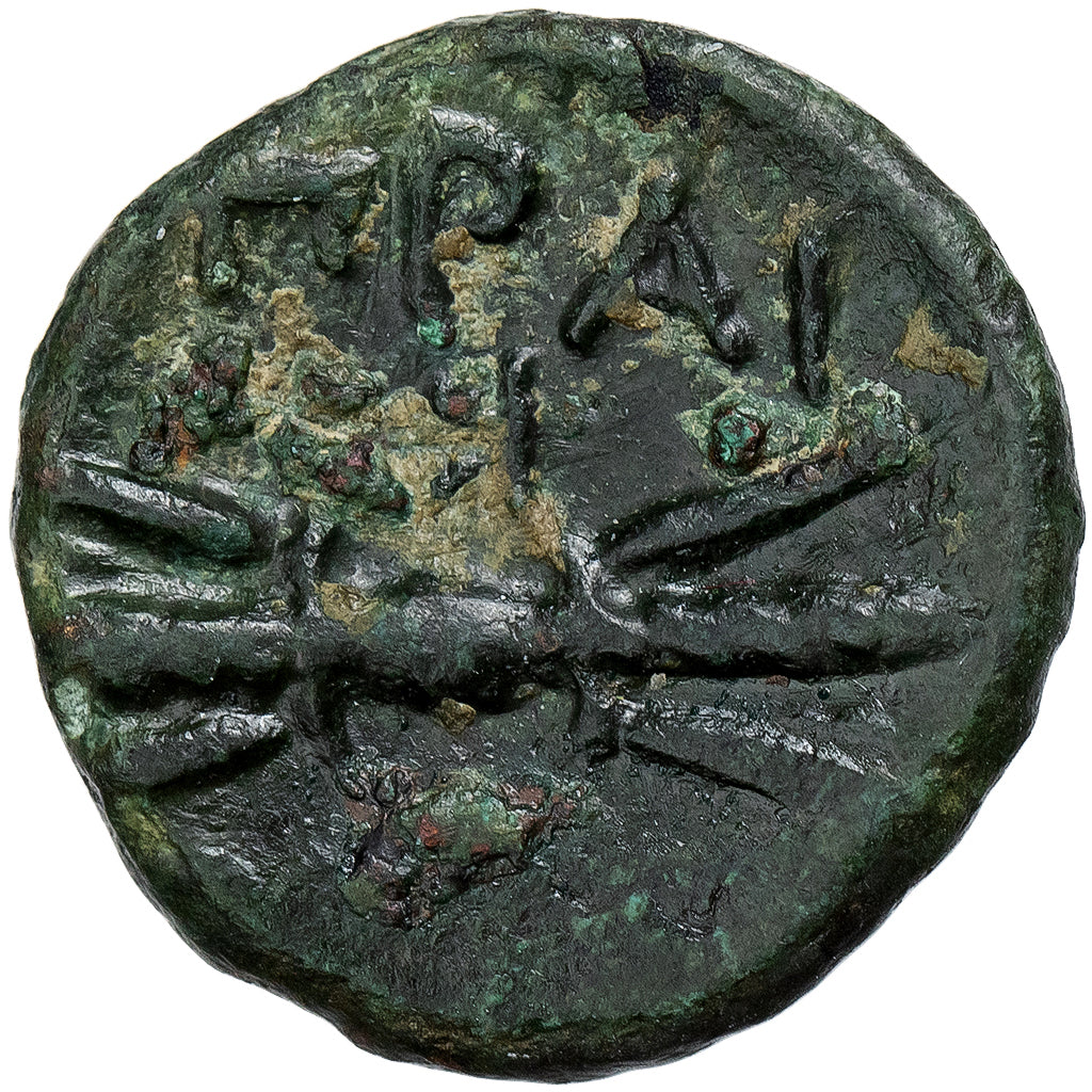Crete, Æ Unit, ca. 300-67 BC, Praisos, Bronzo, BB+