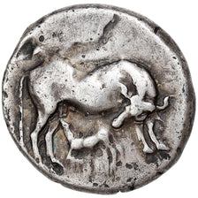 Illiria, Stater, ca. 340-280 BC, Dyrrhachion, Srebro, EF(40-45), HGC:3.1-34