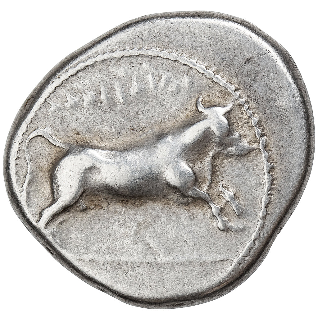 Thessaly, Drachm, ca. 360-356 BC, Larissa, Plata, MBC+, HGC:4-449