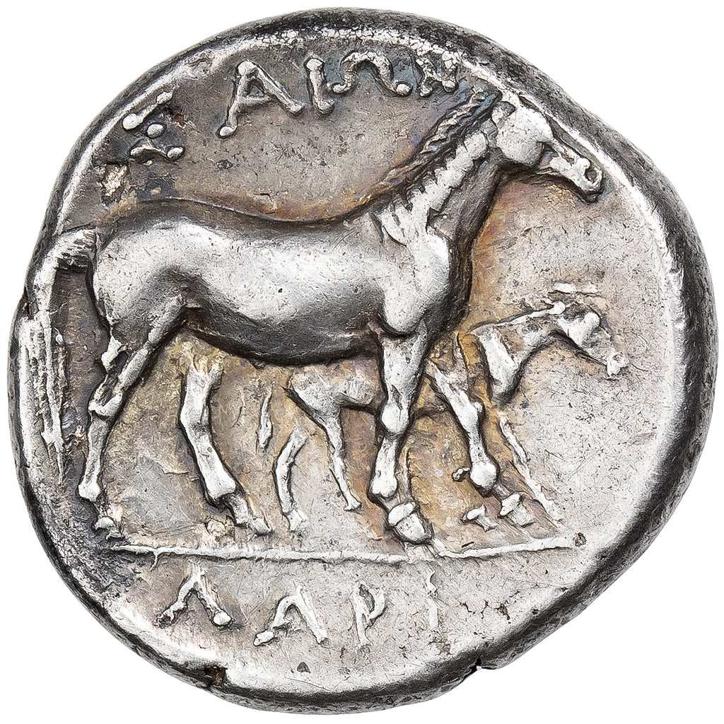 Thessaly, Drachm, ca. 369-360 BC, Larissa, Silver, AU(50-53), HGC:4-444