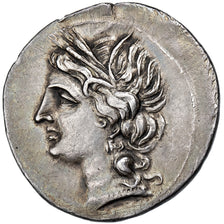 Bruttium, Carthaginian Occupation, 1/2 Shekel, ca. 216-211 BC, Argento, BB+