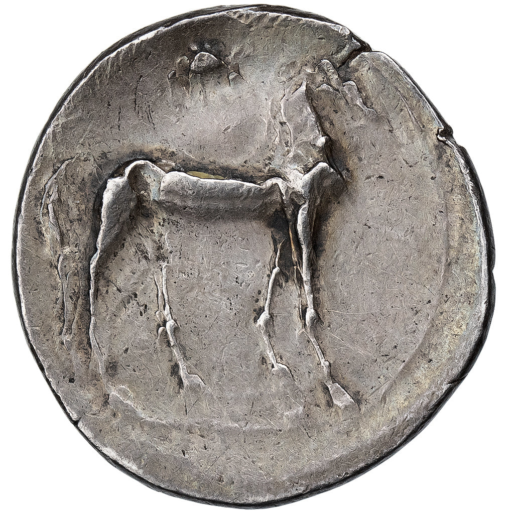 Bruttium, Carthaginian Occupation, 1/2 Shekel, ca. 216-211 BC, Srebro