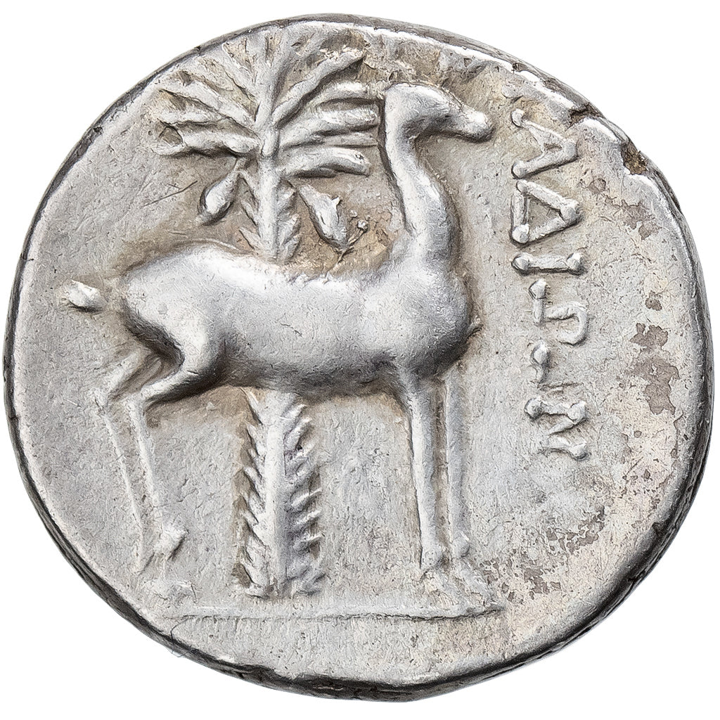 Phoenicia, Drachm, 171-170 BC, Aradus, Silber, SS+, HGC:10-63