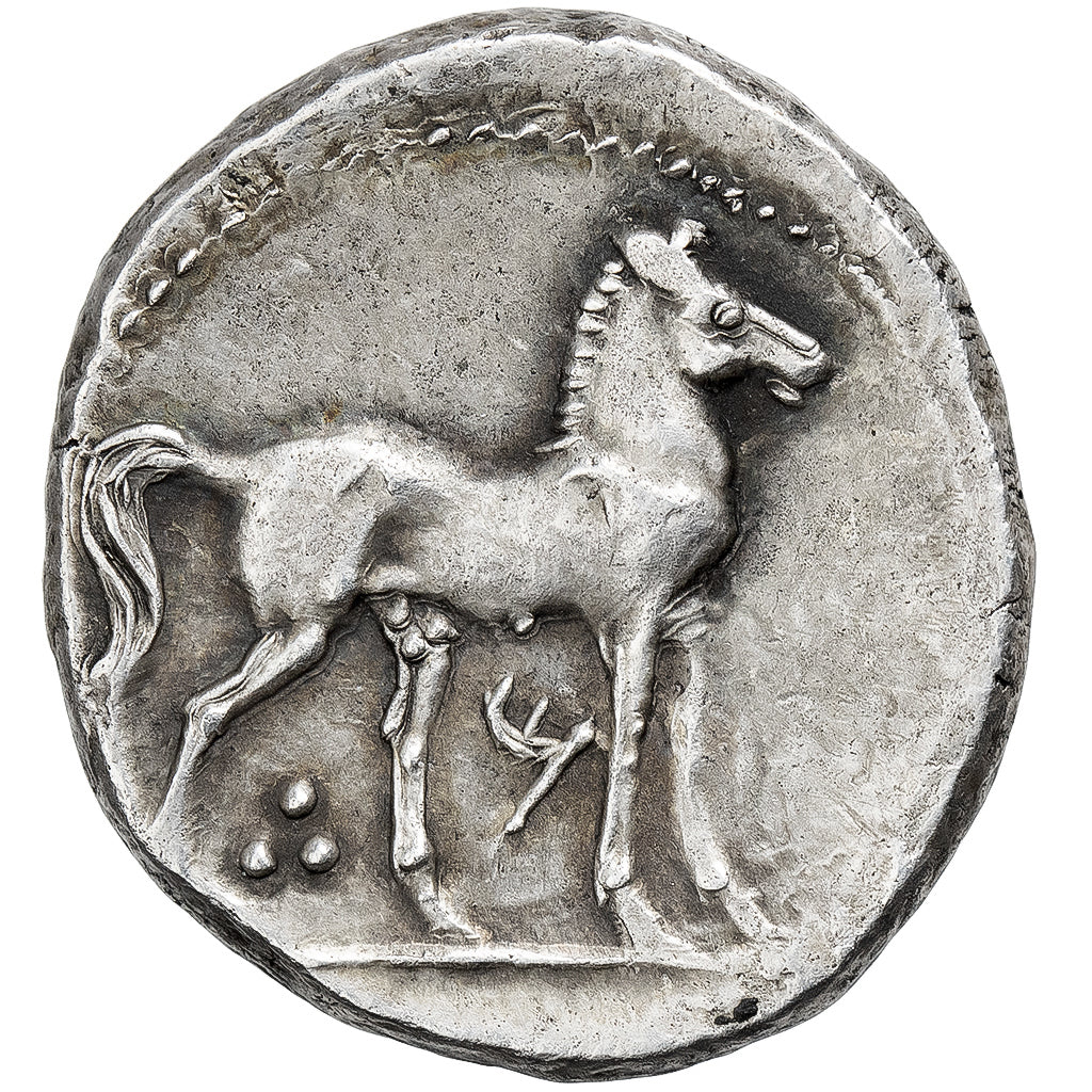 Zeugitana, Carthage, Libyan Revolt, Shekel, ca. 241-238 BC, Argento, BB+