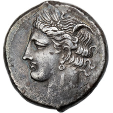 Zeugitana, Shekel, ca. 300-250 BC, Carthage, Srebro, AU(55-58)