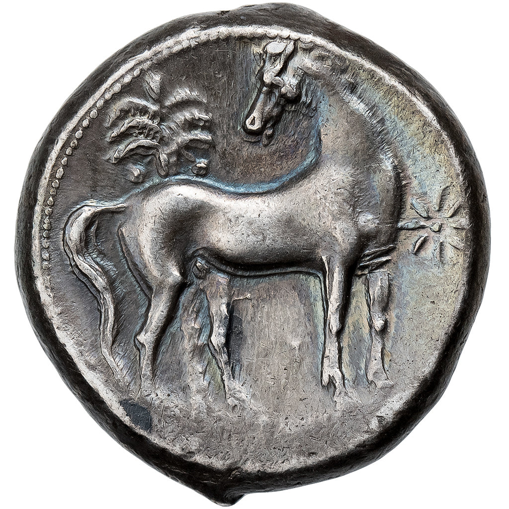 Zeugitana, Shekel, ca. 300-250 BC, Carthage, Srebro, AU(55-58)