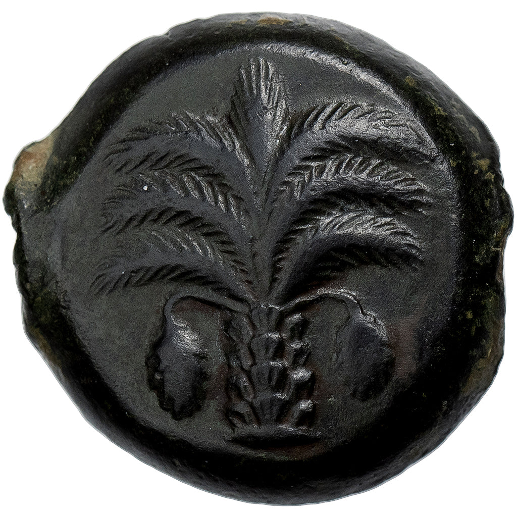 Carthaginian Sicily, Æ Unit, ca. 350-320 BC, Sicilian Mint, Bronze, MS(60-62)