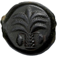 Carthaginian Sicily, Æ Unit, ca. 350-320 BC, Sicilian Mint, Bronze, MS(60-62)