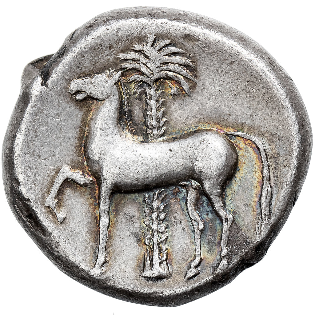 Carthaginian Sicily, Tetradrachm, ca. 350-340 BC, Sicilian Mint, Zilver, ZF