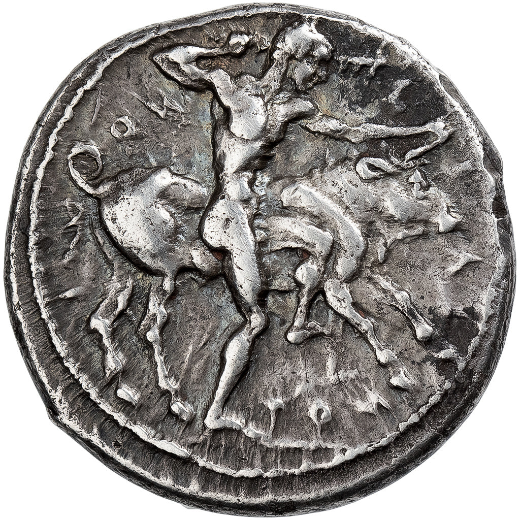 Sicily, Didrachm, ca. 460-440 BC, Selinos, Silver, EF(40-45)