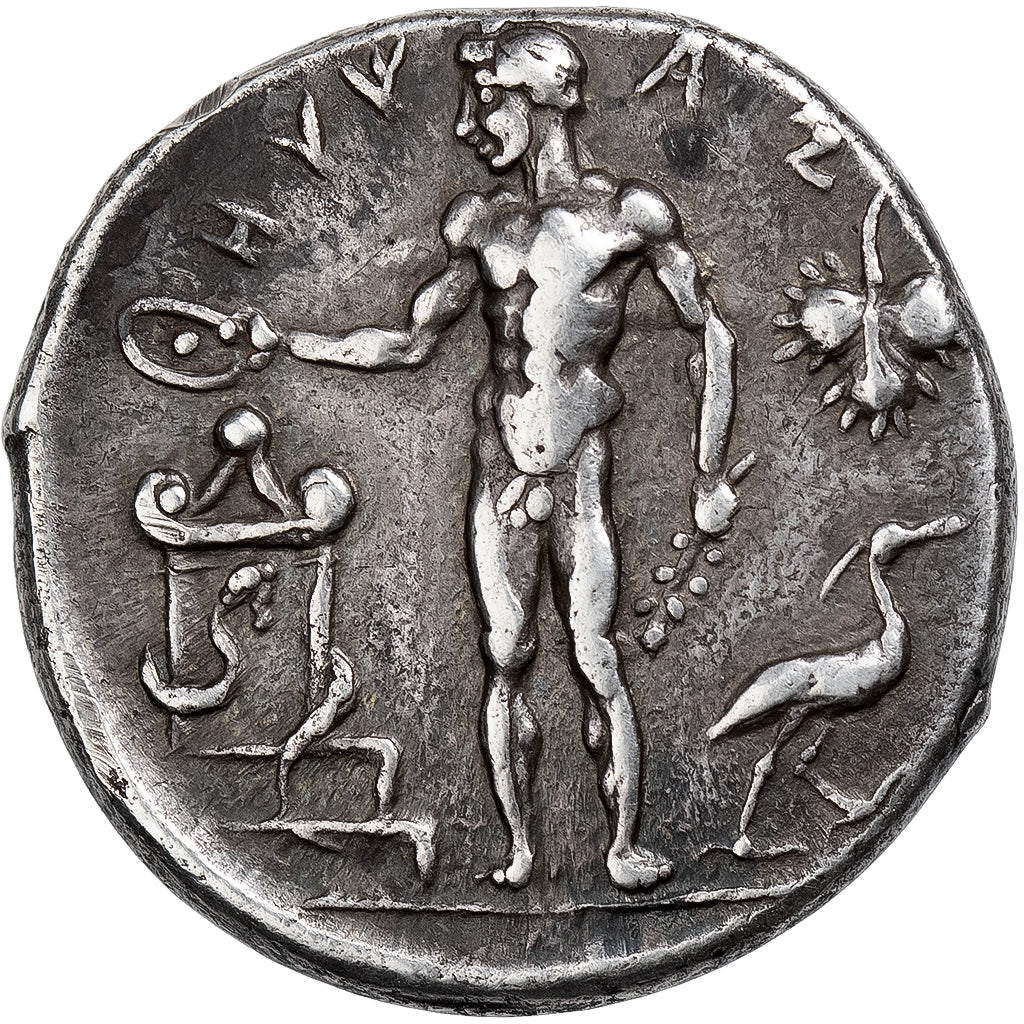 Sicily, Didrachm, ca. 460-440 BC, Selinos, Silver, EF(40-45)
