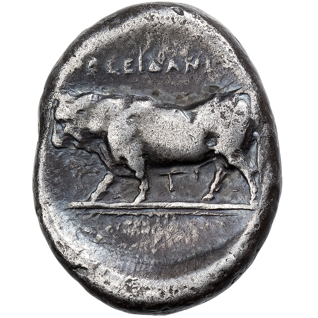 Lucania, Stater, ca. 410-350 BC, Poseidonia, Argento, BB, HGC:1-1154, HN