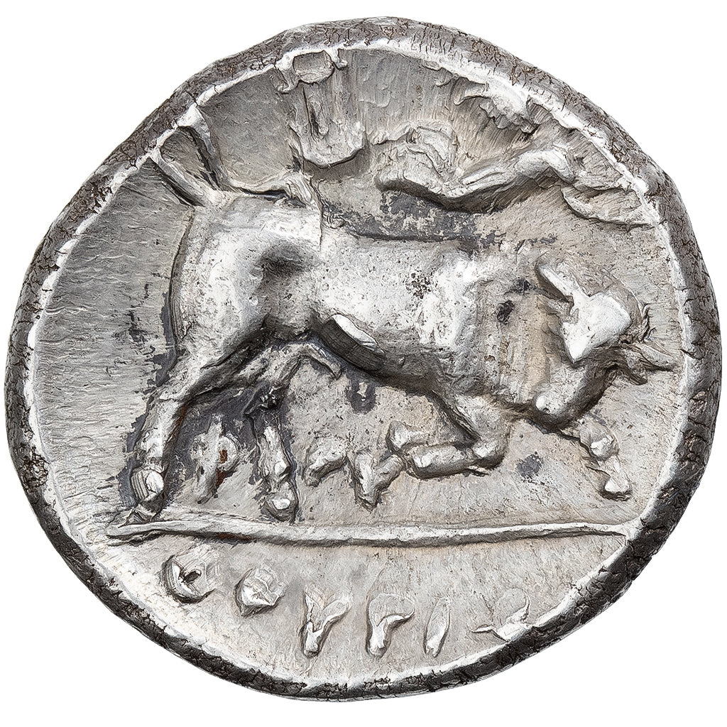 Lucânia, Stater, ca. 300-280 BC, Thourioi, Prata, AU(55-58), BMC:96, HN