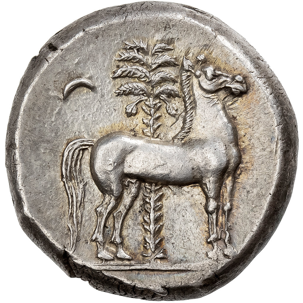 Zeugitana, Tetradrachm, ca. 350-320 BC, Uncertain mint, Siculo-Punic, Zilver