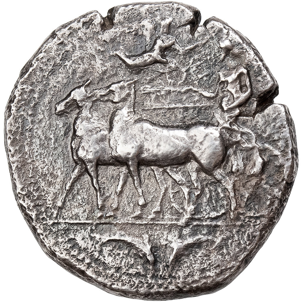 Sicily, Tetradrachm, ca. 412-408 BC, Messana, Argento, BB