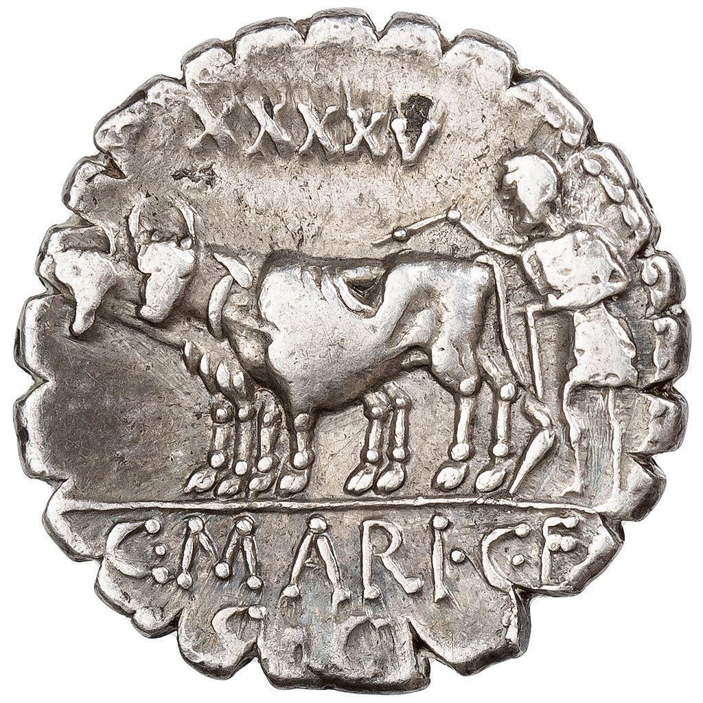 Maria, Denarius Serratus, 81 BC, Rome, Silber, VZ, Crawford:378/1c
