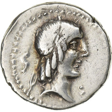 Calpurnia, Denarius, 90 BC, Rome, Silver, EF(40-45), Crawford:340/1