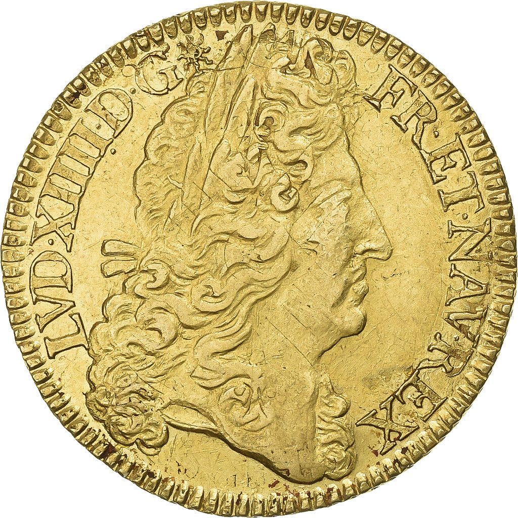 France, Louis XIV, Double louis d'or à l'écu, 1690, Paris, Gold, AU(50-53)