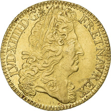 France, Louis XIV, Double louis d'or à l'écu, 1690, Paris, Gold, AU(50-53)
