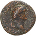 Vespasian, As, 77-78, Rome, Bronzo, MB, RIC:1233