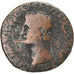 Germanicus, As, 39-40, Rome, Bronzo, B+, RIC:43