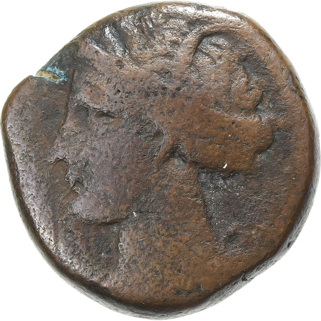 Zeugitana, Æ Unit, 300-264 BC, Carthage, Bronze, F(12-15)