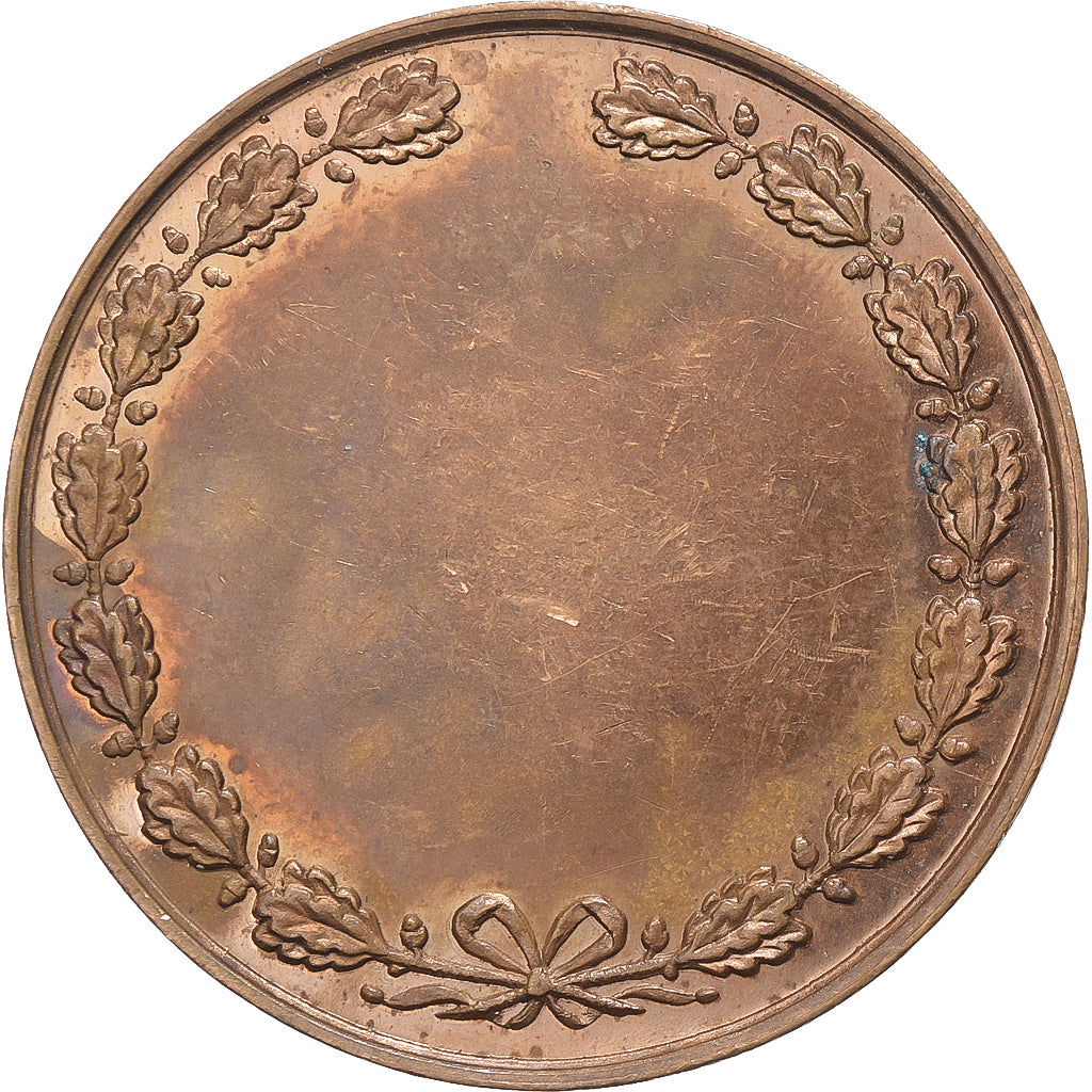 Francia, medaglia, Exposition Internationale, Toulon, 1890, Bronzo, SPL