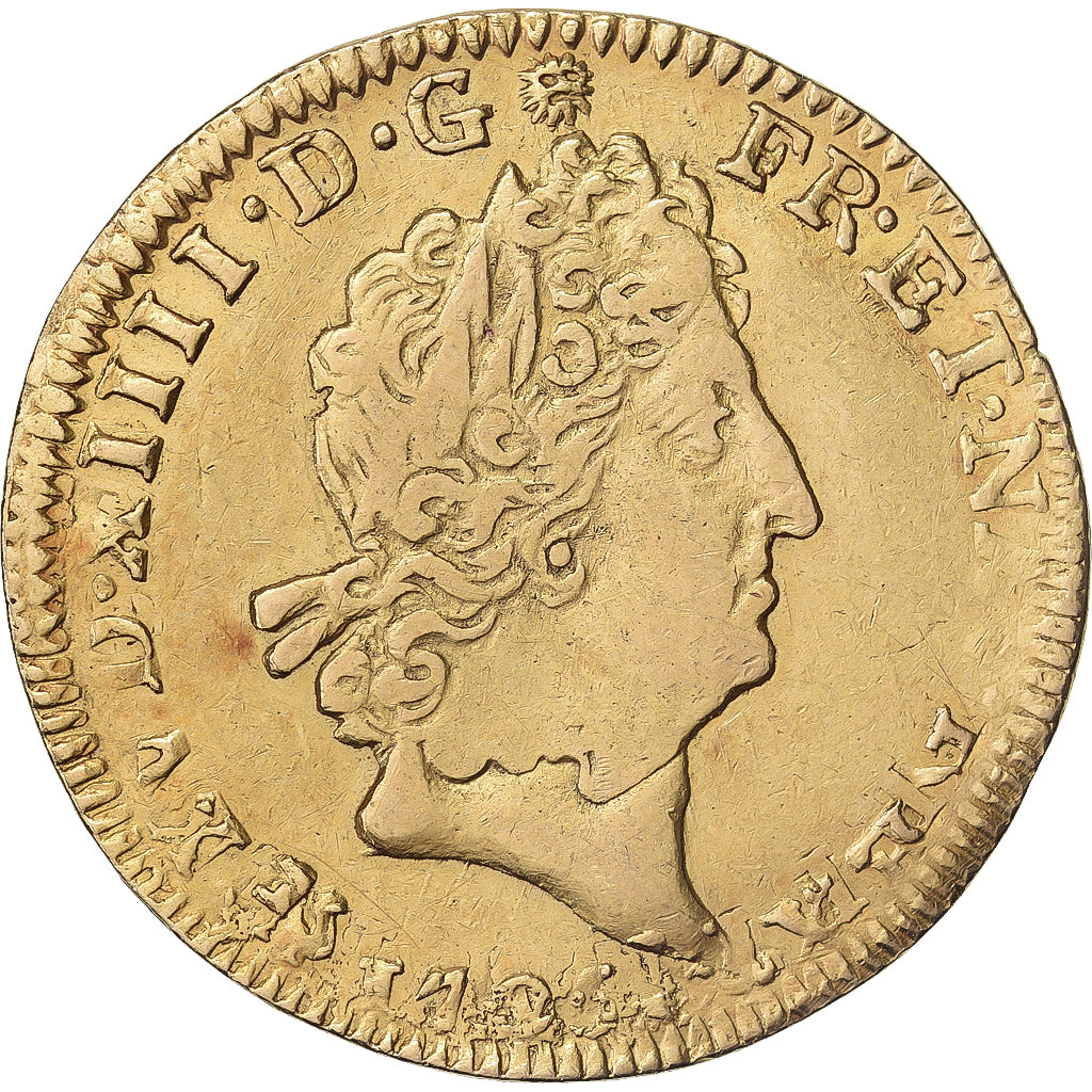 Frankrijk, Louis XIV, Louis d'or aux insignes, 1705, Rennes, reformed, Goud, ZF
