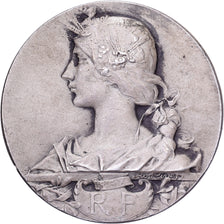 Francia, medaglia, Comice Agricole de l'Arrondissement de Cosne, Argento, BB+