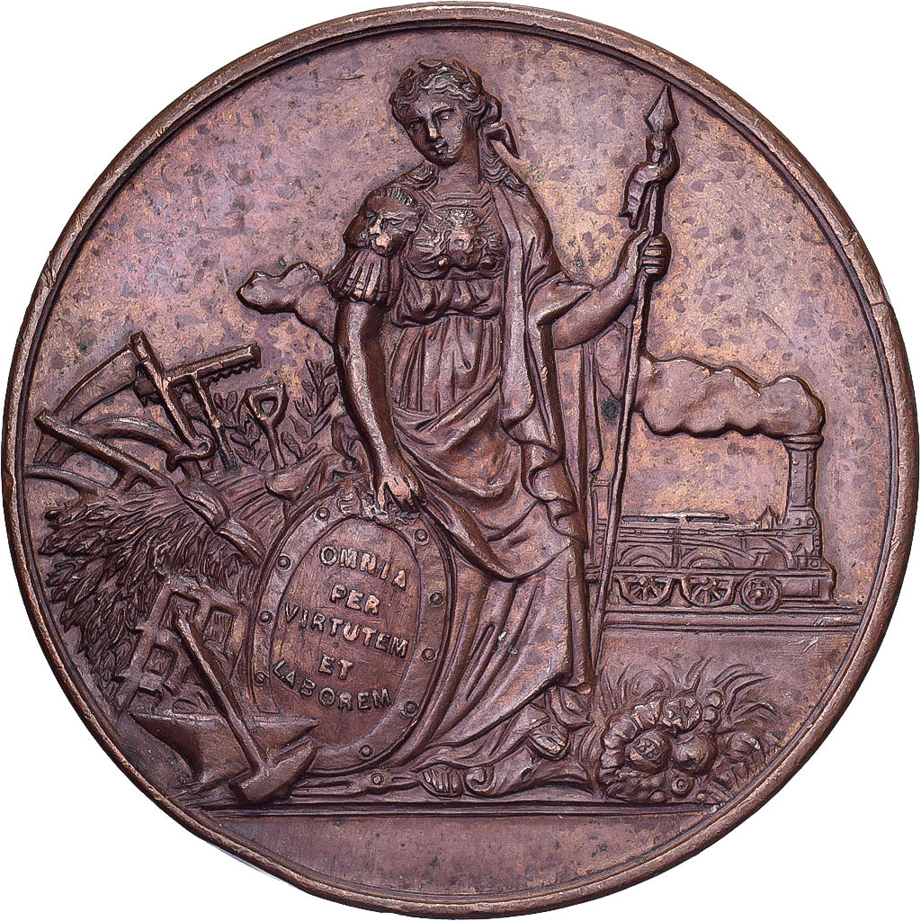 Frankreich, Medaille, Comice Agricole de Château-Chinon (Nièvre), 1890