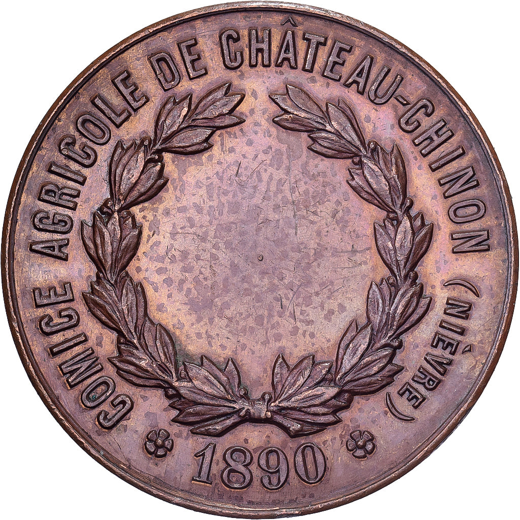 Frankreich, Medaille, Comice Agricole de Château-Chinon (Nièvre), 1890