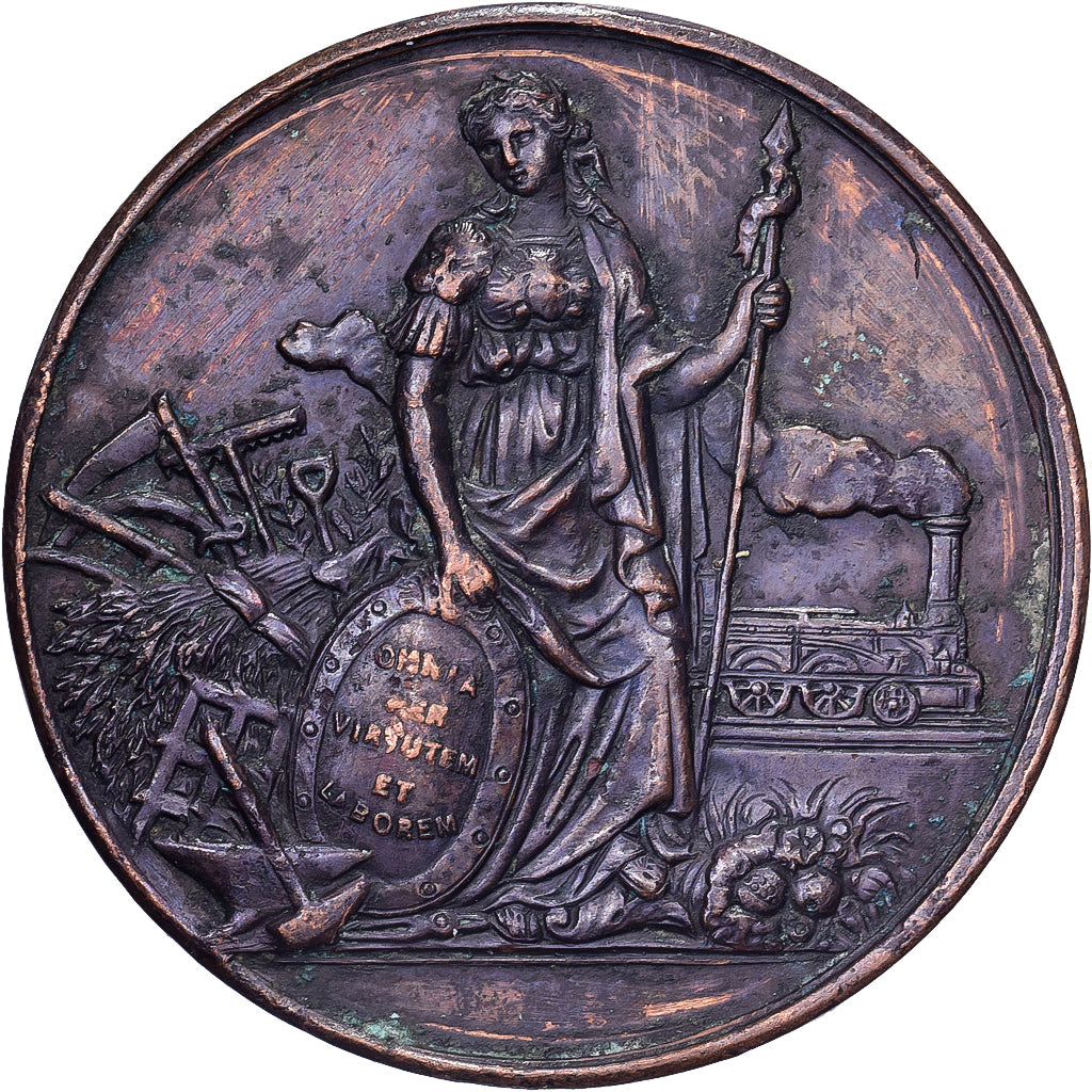 France, Medal, Comice Agricole de Château-Chinon (Nièvre), 1887, Copper