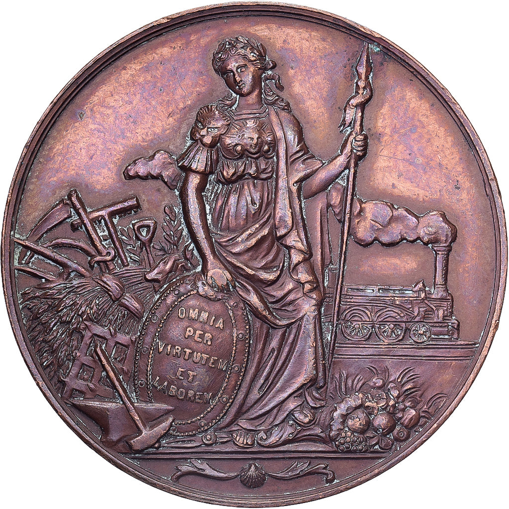 Francja, medal, Comice Agricole de Château-Chinon (Nièvre), 1876, Miedź