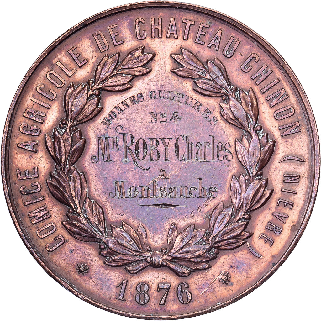 Francja, medal, Comice Agricole de Château-Chinon (Nièvre), 1876, Miedź