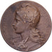 Francia, medaglia, Ville de Nevers, Dénombrement, 1906, Bronzo, SPL-