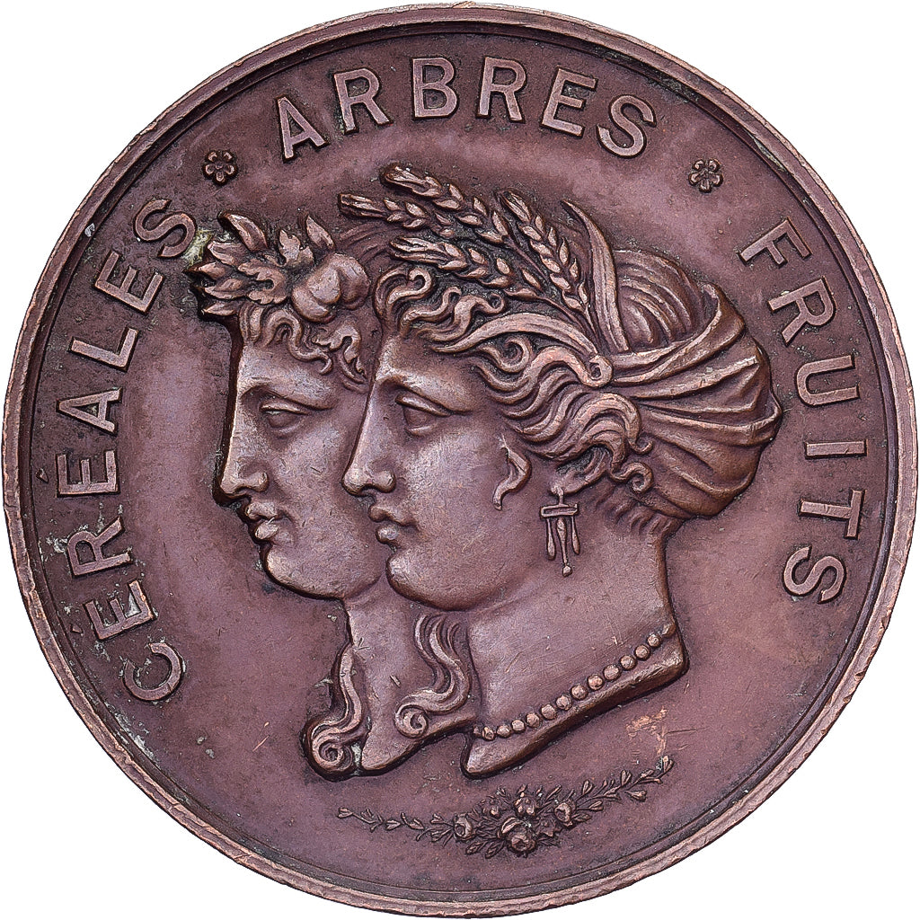 Francia, medaglia, Société Départementale d'Agriculture de la Nièvre