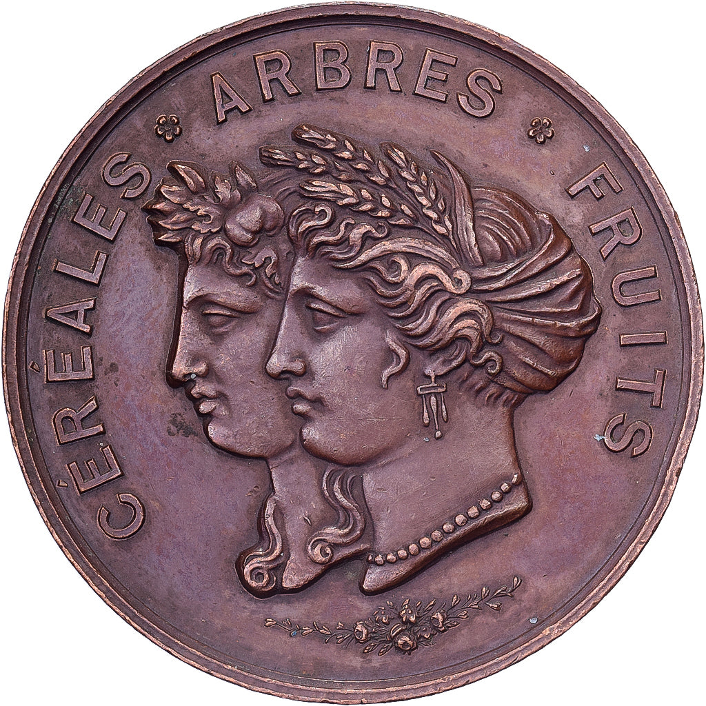 Francia, medaglia, Société Départementale d'Agriculture de la Nièvre