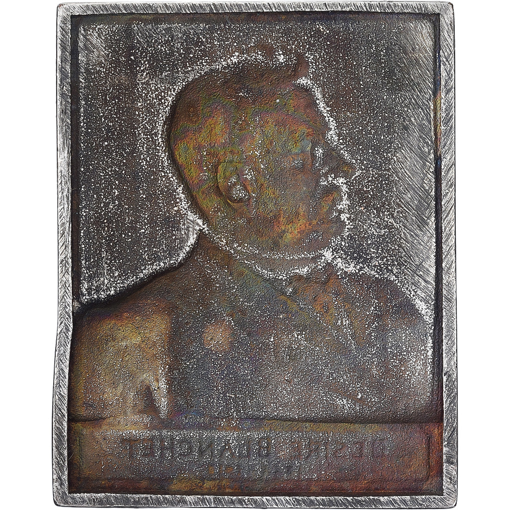 Frankreich, Plaquette, Désiré Blanchet, Silvered bronze, VZ
