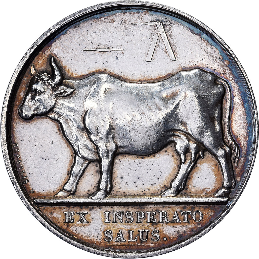 France, Medal, Vaccinations municipales de Paris, 1814, Silver, AU(55-58)